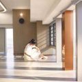 高端辦公室現(xiàn)代簡(jiǎn)約風(fēng)大廳效果圖